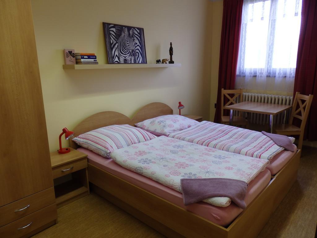 Penzion Janovice Janovice nad Uhlavou Номер фото