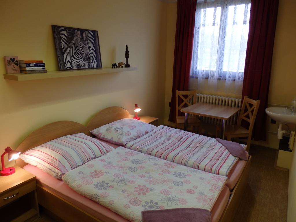 Penzion Janovice Janovice nad Uhlavou Номер фото
